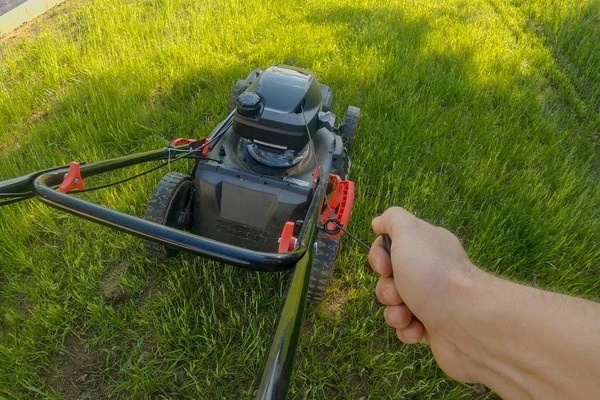 Lawn Maintenance